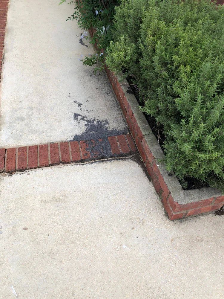 bad shingles