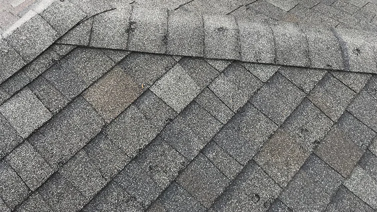 Signs of Storm Damage