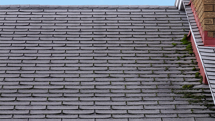 knowing when to replace roof